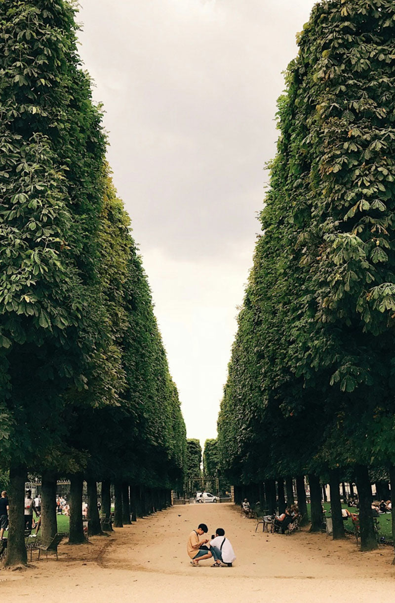 Scenes from gardens featured on EDEN ROWE