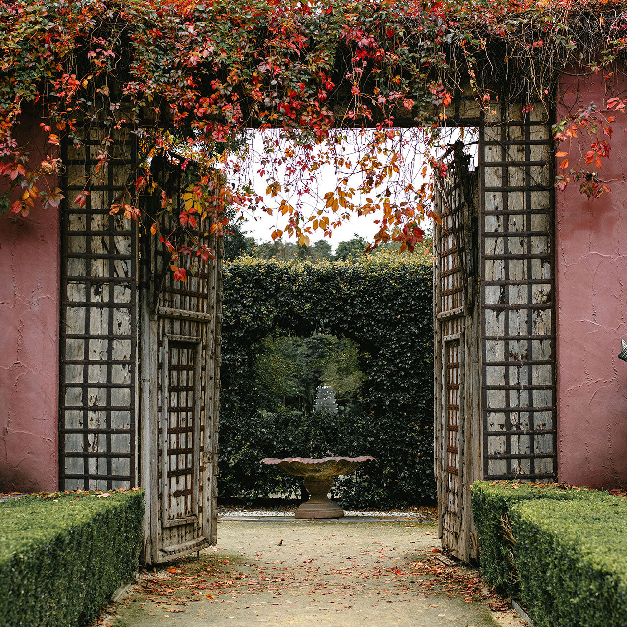 A garden path curving between deep borders